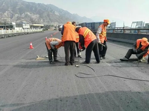 南圣镇道路桥梁病害治理